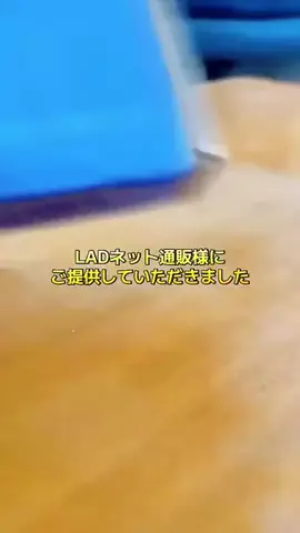 キジトラにぼしくん🐟ビスケ🍪のTikTok投稿