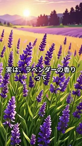 えみWellness LifeのTikTok投稿