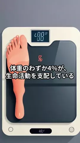 えみWellness LifeのTikTok投稿