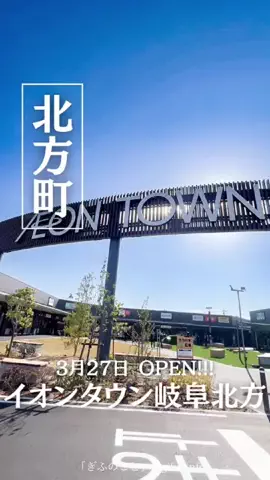 ぎふのことのTikTok投稿