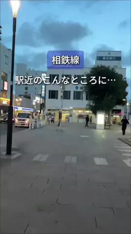 まろん | 相鉄線グルメのTikTok投稿