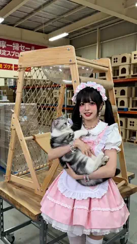 lnoe13のTikTok投稿