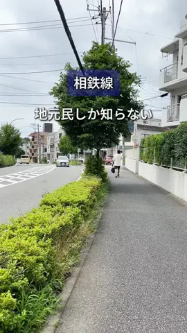 まろん | 相鉄線グルメのTikTok投稿