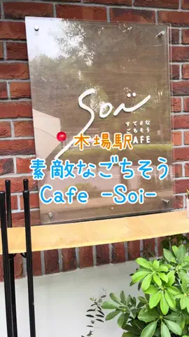 satomi_gohanのTikTok投稿