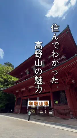 astroboy🇦🇺ワーホリ準備中のTikTok投稿
