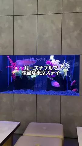 Sample2023のTikTok投稿