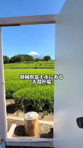 Sample2023のTikTok投稿