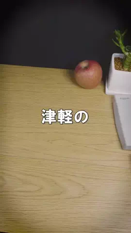 逸品目録 | 日本の技術と素材の発掘記録のTikTok投稿