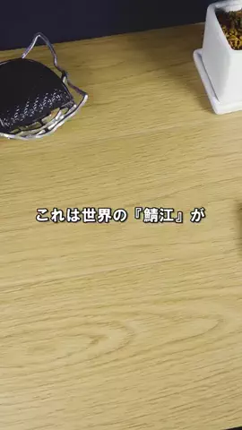 逸品目録 | 日本の技術と素材の発掘記録のTikTok投稿