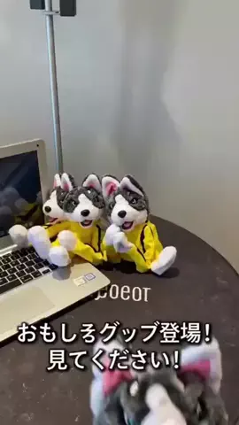 TAKUMIのTikTok投稿