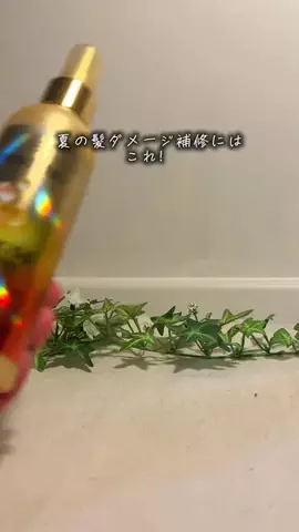 そら｜独身アラサーのTikTok投稿