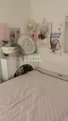 サモエドネキのお部屋のTikTok投稿
