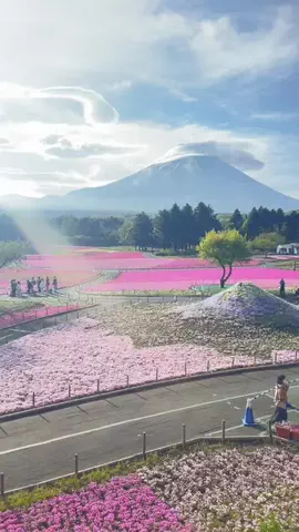 Mara  だードラ♥️🇯🇵🇵🇭のTikTok投稿