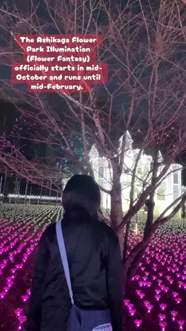 Mara  だードラ♥️🇯🇵🇵🇭のTikTok投稿