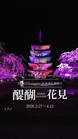 旅するpippiのTikTok投稿