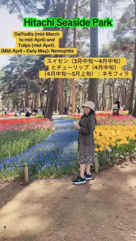 Mara  だードラ♥️🇯🇵🇵🇭のTikTok投稿