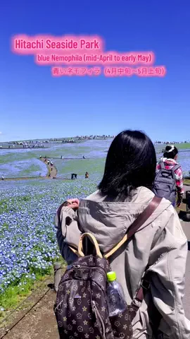 Mara  だードラ♥️🇯🇵🇵🇭のTikTok投稿