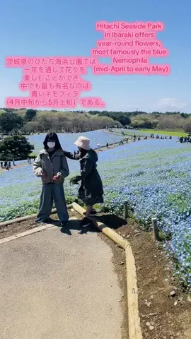 Mara  だードラ♥️🇯🇵🇵🇭のTikTok投稿