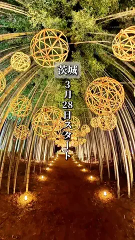 そら/つくば発の週末デート・お出かけのTikTok投稿