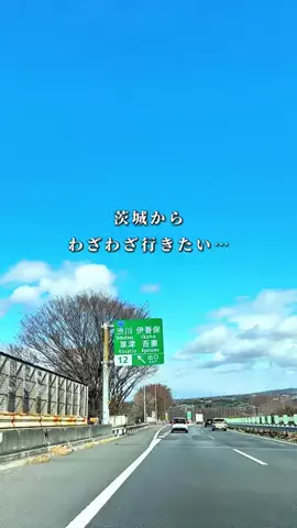 そら/つくば発の週末デート・お出かけのTikTok投稿