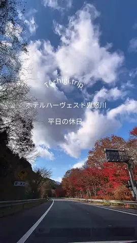 miki@平日の休日✈︎のTikTok投稿