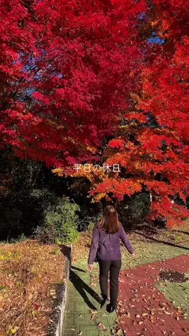 miki@平日の休日✈︎のTikTok投稿