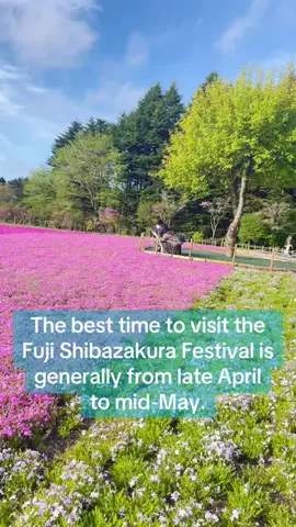 Mara  だードラ♥️🇯🇵🇵🇭のTikTok投稿