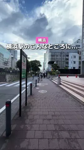 みける|神奈川発のおでかけカップルのTikTok投稿