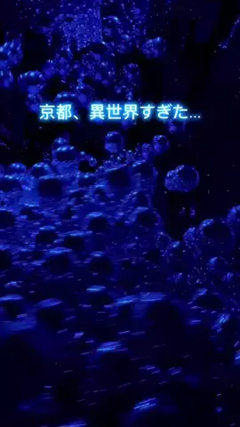 週末ご褒美カフェ活界隈☕️のTikTok投稿