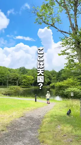 メノ｜子連れ旅行&お出かけのTikTok投稿