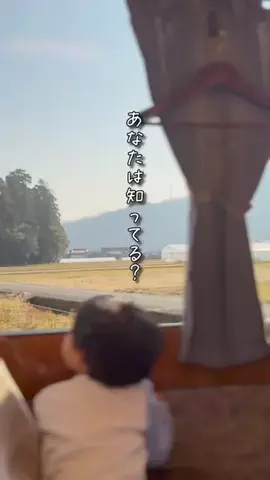 ぐりー🍀関西おでかけ/南大阪発🚗のTikTok投稿