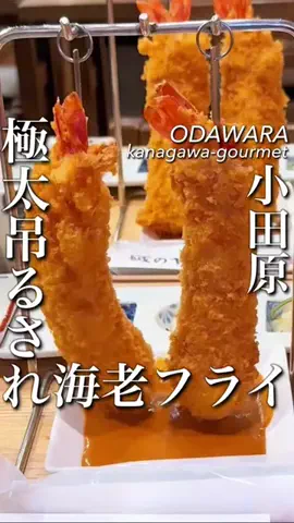 東京コスパグルメ／関東グルメ【公式】のTikTok投稿