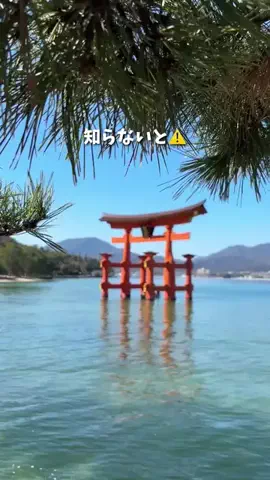 コスパ旅@コスパ良くオシャレに旅行✈️のTikTok投稿
