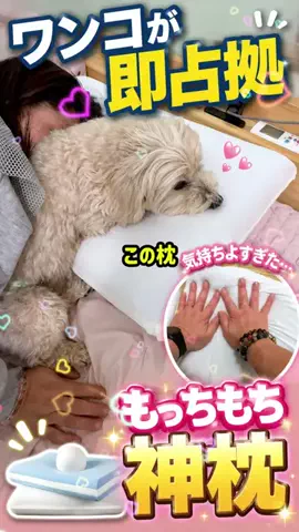 いちごのTikTok投稿