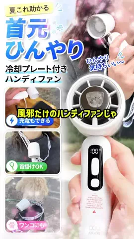 いちごのTikTok投稿
