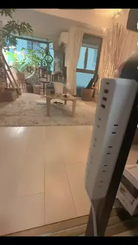 🥂みきてぃー🍷のTikTok投稿