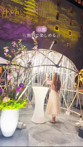 そらみ 𓏸𓈒𑁍 京都グルメ・観光スポットのTikTok投稿