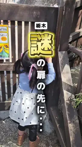 かりえ│栃木グルメ・茨城グルメ・おでかけのTikTok投稿