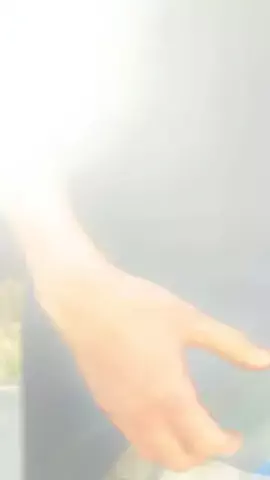 はやてのTikTok投稿