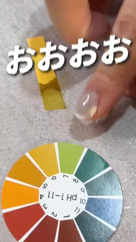 へきほー 헤키호のTikTok投稿