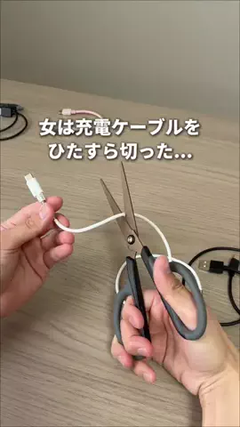 ぴーすけ | シンプル4人暮らし＋🐶のTikTok投稿