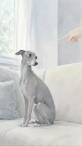 犬猫総合製薬株式会社のTikTok投稿