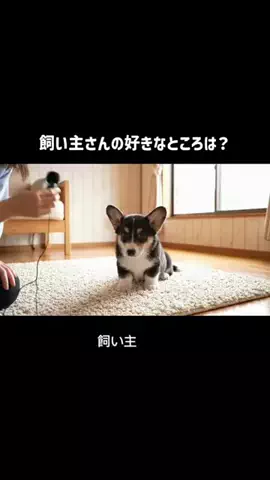 犬猫総合製薬株式会社のTikTok投稿