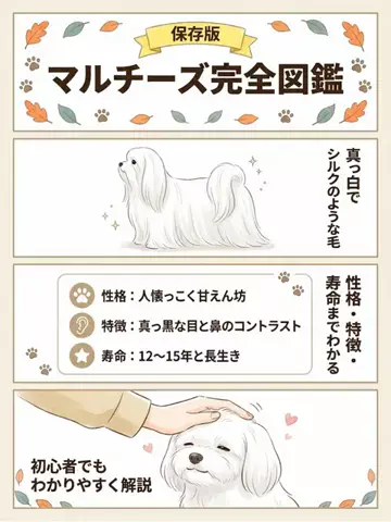 犬猫総合製薬株式会社のTikTok投稿