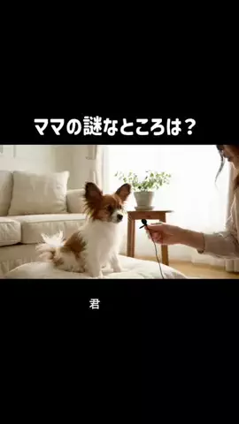 犬猫総合製薬株式会社のTikTok投稿