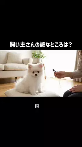 犬猫総合製薬株式会社のTikTok投稿