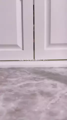 sanaaa_biyouのTikTok投稿