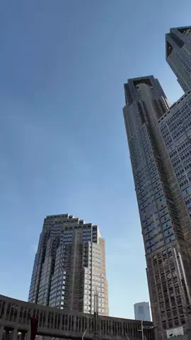 【東京散歩】ゆたん🔰🐾のTikTok投稿