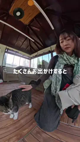 南 そみ／Somi🇯🇵✈30ヵ国を歩く会社員のリアル🧳のTikTok投稿