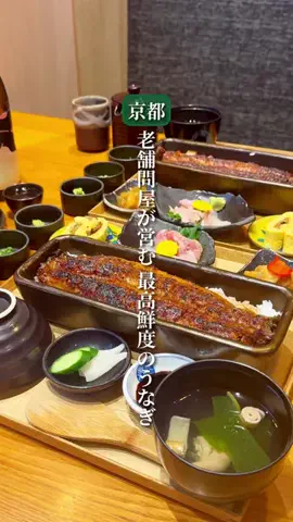 京阪美食録┊︎京都・大阪グルメのTikTok投稿